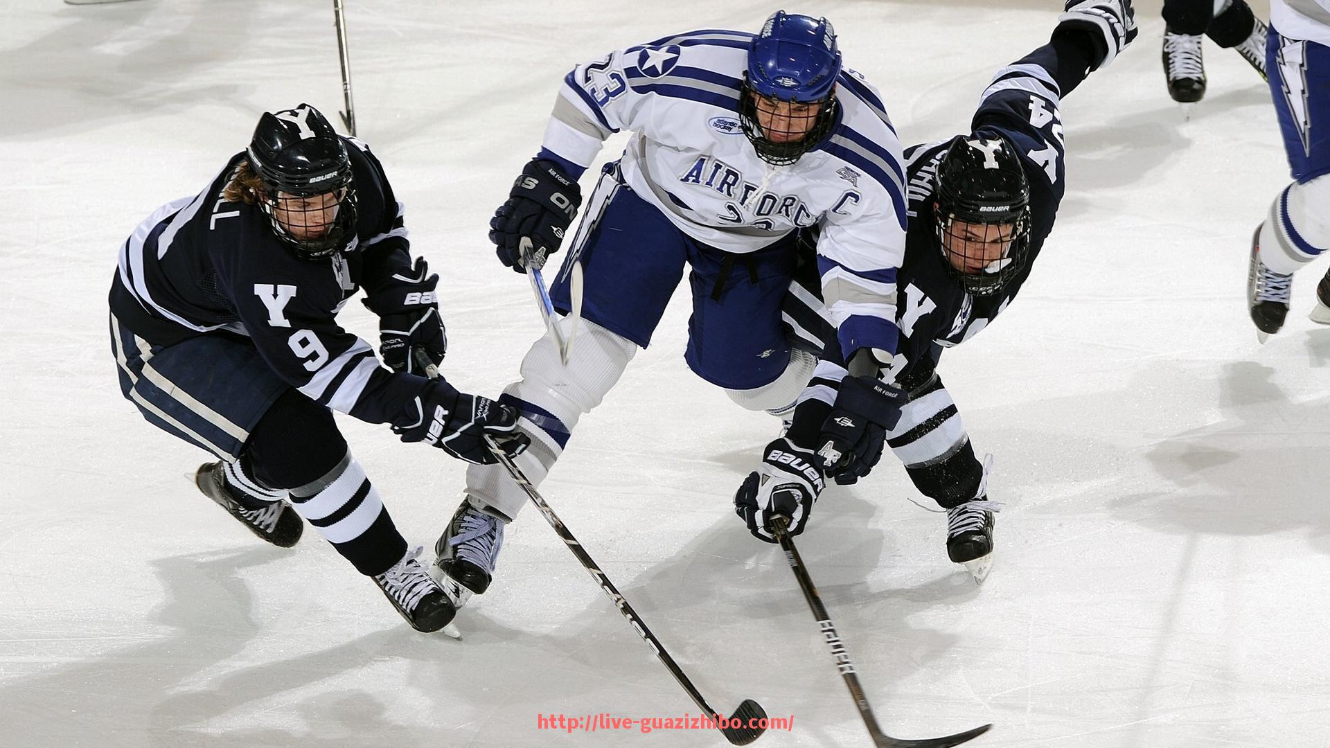 瓜子直播-小区健身器材提示词及规范管理建议